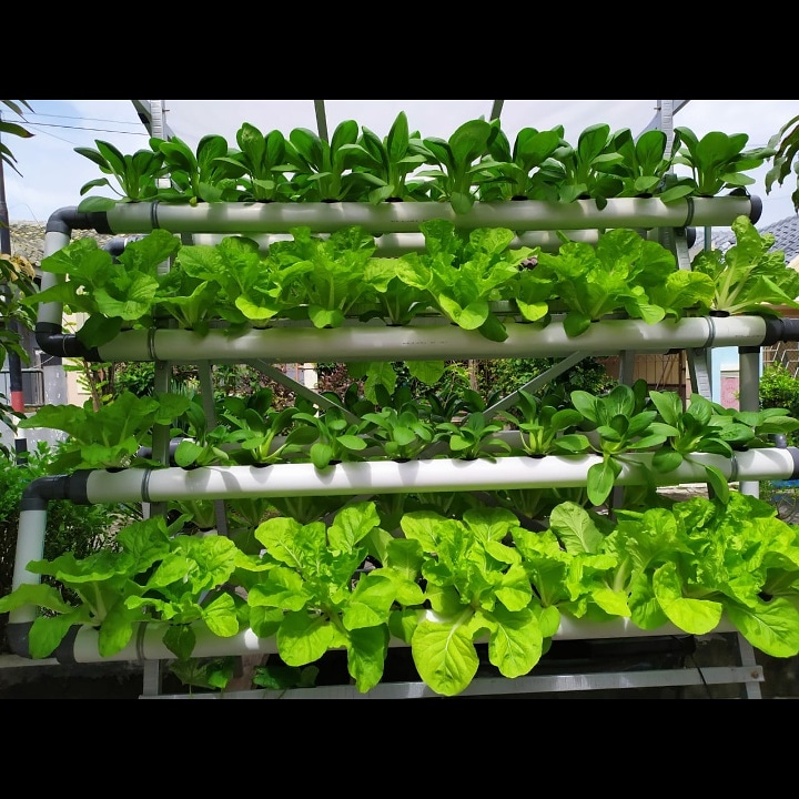 WeCreativez WhatsApp Support